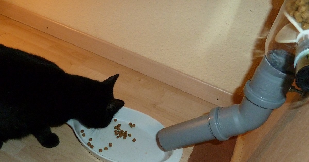 Catfeeder