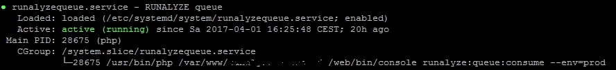 Runalyze Queue systemd