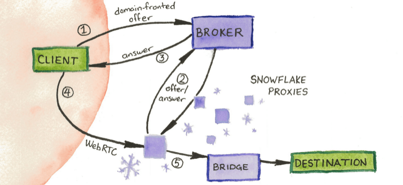 Tor Snowflake Proxy Schema